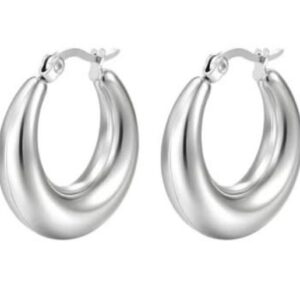 Silver Hoop Earrings